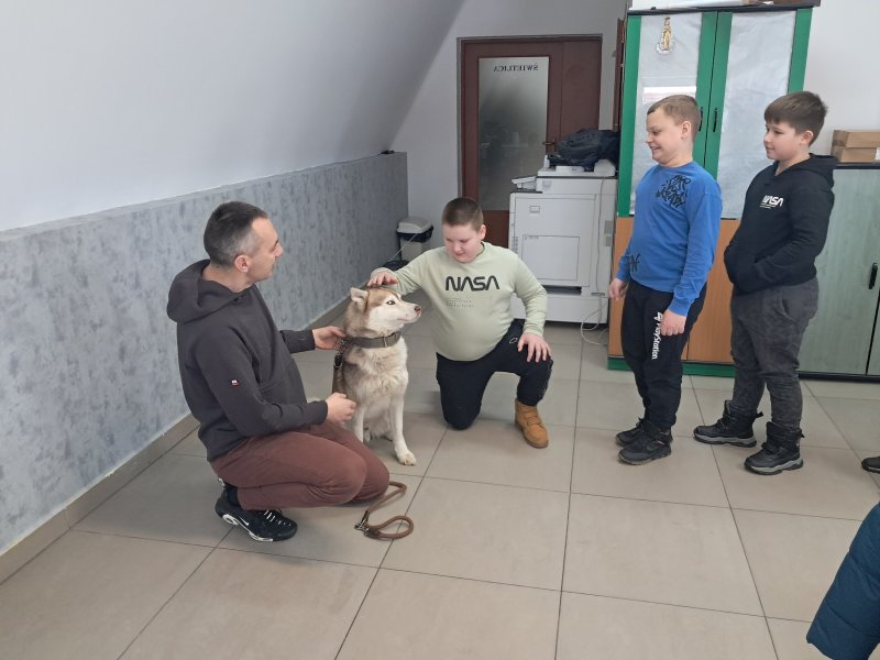 Na zdjęciu widać dziecko głaszczące psa rasy Siberian Husky w Sali, w której odbywały się zajęcia. Pies jest pod opieką właściciela, który kuca obok niego. Obok stoją dzieci czekające w kolejce, aby pogłaskać pieska.  