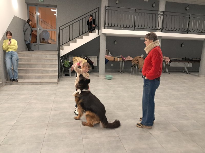 Zdjęcie przedstawia psa w towarzystwie swojego opiekuna i uczestniczki zajęć w sali, w której odbywały się zajęcia  