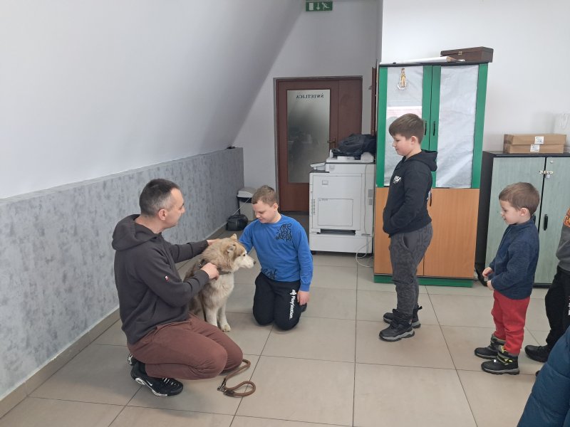 Na zdjęciu widać dziecko głaszczące psa rasy Siberian Husky w Sali, w której odbywały się zajęcia. Pies jest pod opieką właściciela, który kuca obok niego. Obok stoją dzieci czekające w kolejce, aby pogłaskać pieska.  