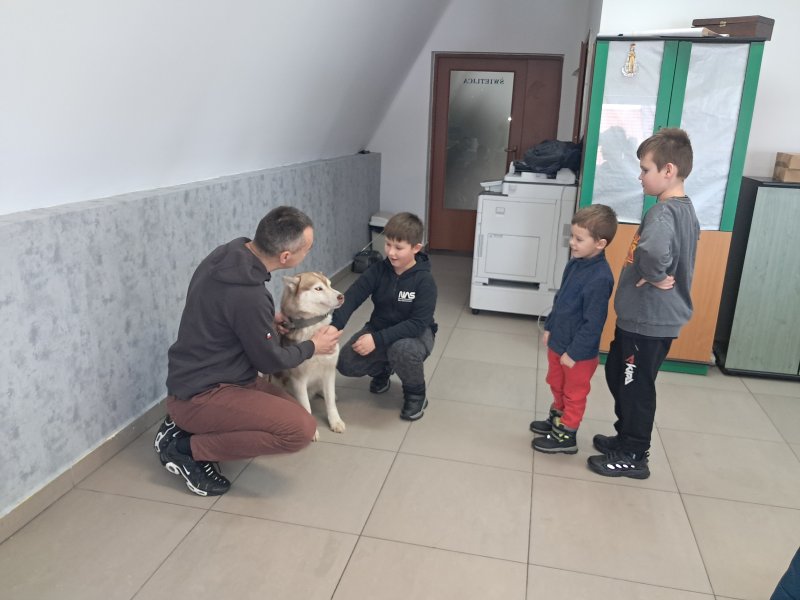 Na zdjęciu widać dziecko głaszczące psa rasy Siberian Husky w Sali, w której odbywały się zajęcia. Pies jest pod opieką właściciela, który kuca obok niego. Obok stoją dzieci czekające w kolejce, aby pogłaskać pieska.  
