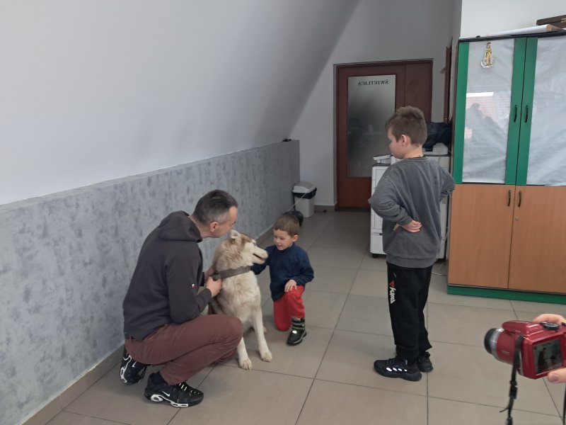 Na zdjęciu widać dziecko głaszczące psa rasy Siberian Husky w Sali, w której odbywały się zajęcia. Pies jest pod opieką właściciela, który kuca obok niego. Obok stoi dziecko czekające w kolejce, aby pogłaskać pieska.  
