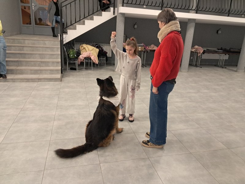 Zdjęcie przedstawia psa w towarzystwie swojego opiekuna i uczestnika zajęć w sali, w której odbywały się zajęcia  