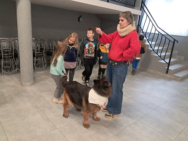 Zdjęcie przedstawia grupkę dzieci stojących przy psie. W tym samym momencie opiekunka psa unosi w rękę nad psem, chcąc mu coś dać.  