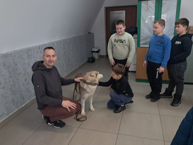 Na zdjęciu widać dziecko głaszczące psa rasy Siberian Husky w Sali, w której odbywały się zajęcia. Pies jest pod opieką właściciela, który kuca obok niego. Obok stoją dzieci czekające w kolejce, aby pogłaskać pieska  