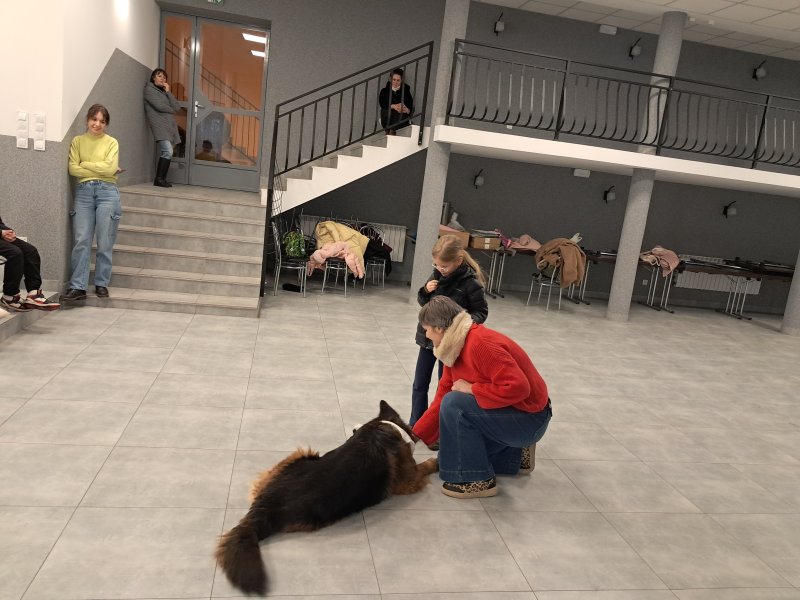 Zdjęcie przedstawia psa w towarzystwie swojego opiekuna i uczestniczki zajęć w sali, w której odbywały się zajęcia  