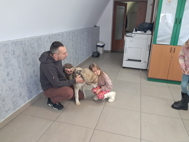 Na zdjęciu widać dziecko przytulające się do psa rasy Siberian Husky w Sali, w której odbywały się zajęcia. Pies jest pod opieką właściciela, który kuca obok niego.  