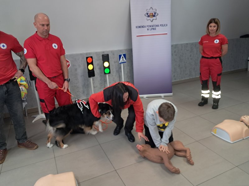 Zdjęcie przedstawia uczestnika zajęć w trakcie nauki udzielania pierwszej pomocy zwierzęciu.  
